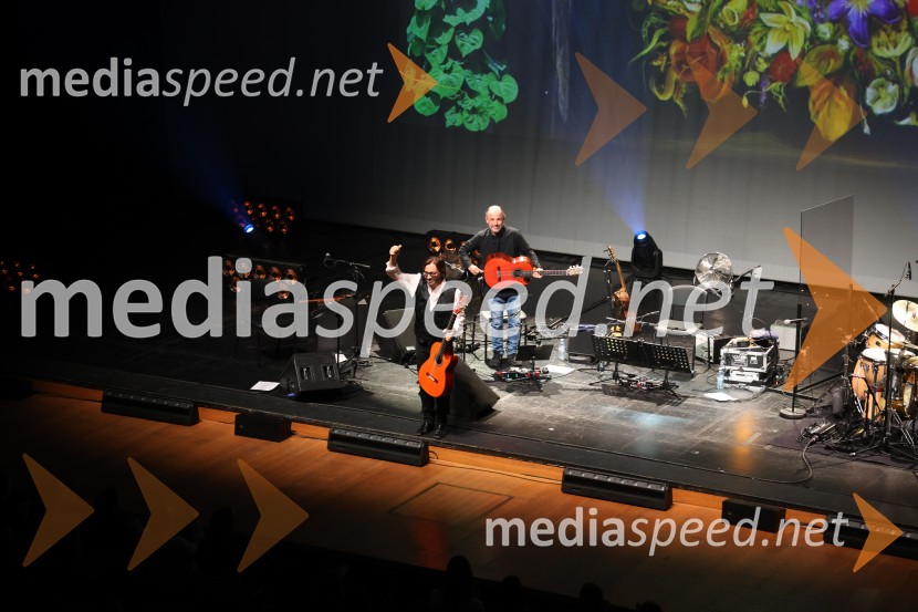 Al Di Meola, Cankarjev dom