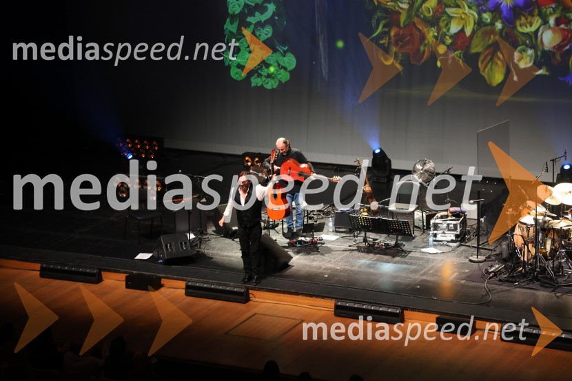 Al Di Meola, Cankarjev dom