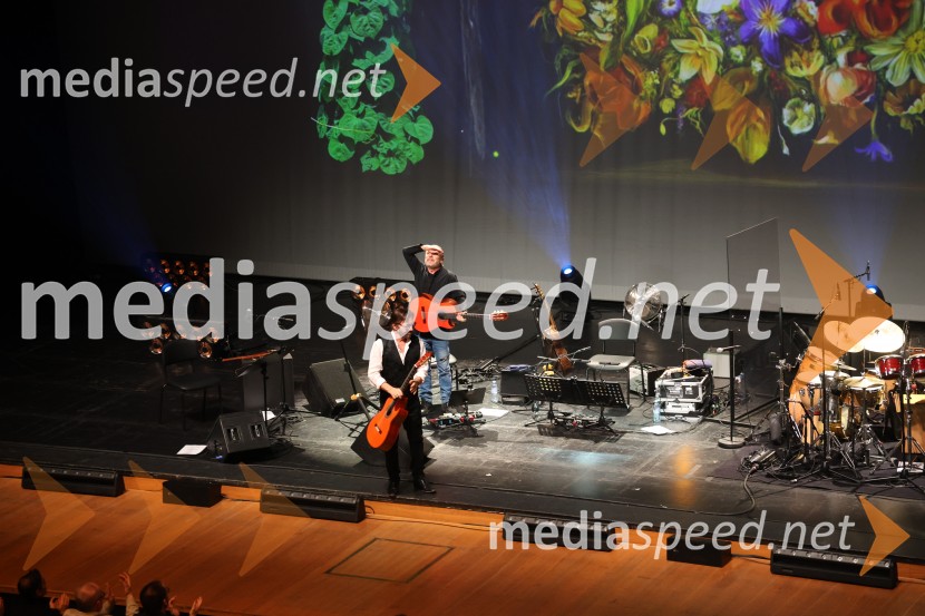 Al Di Meola, Cankarjev dom