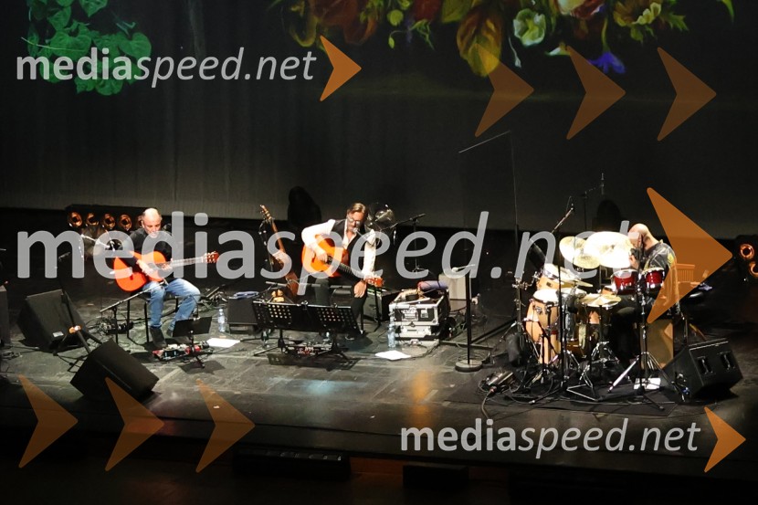 Al Di Meola, Cankarjev dom