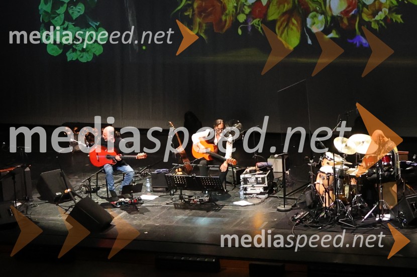 Al Di Meola, Cankarjev dom