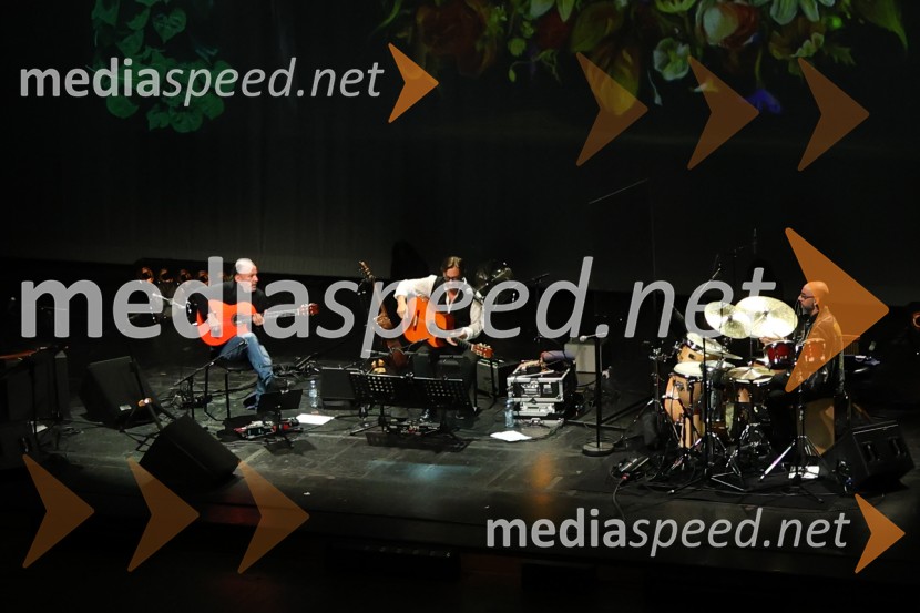 Al Di Meola, Cankarjev dom