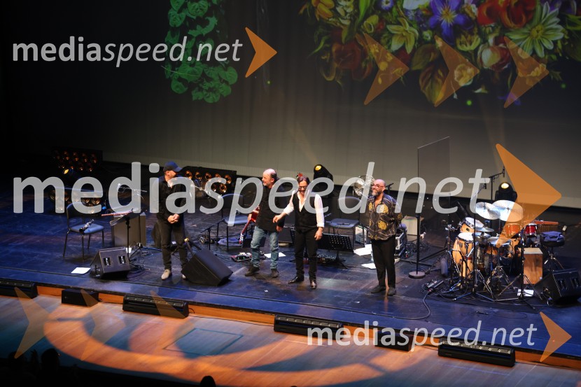 Al Di Meola, Cankarjev dom