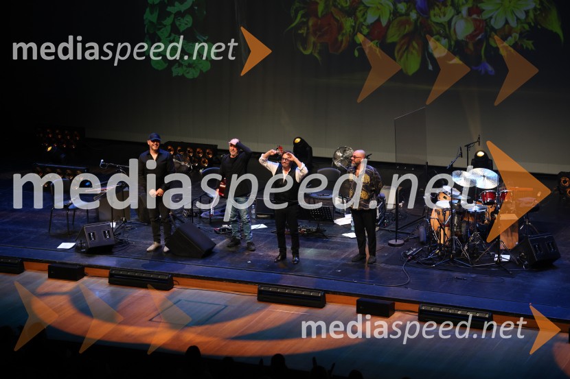 Al Di Meola, Cankarjev dom