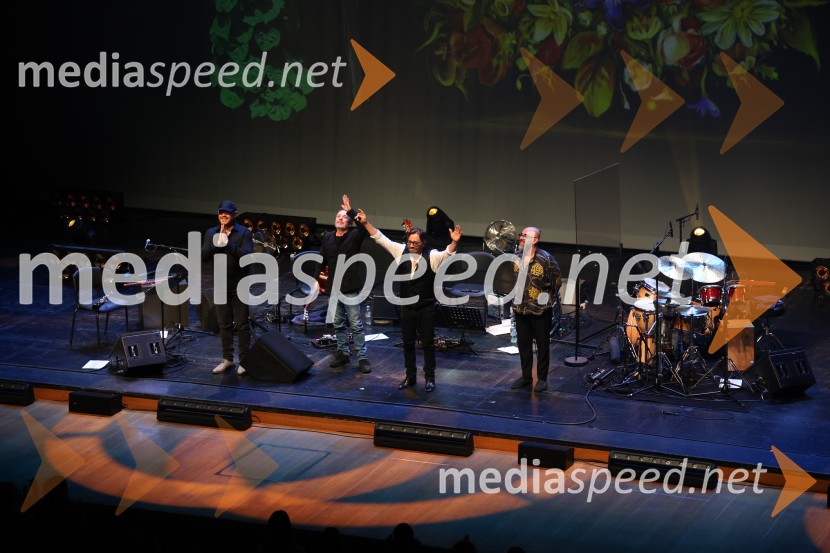 Al Di Meola, Cankarjev dom