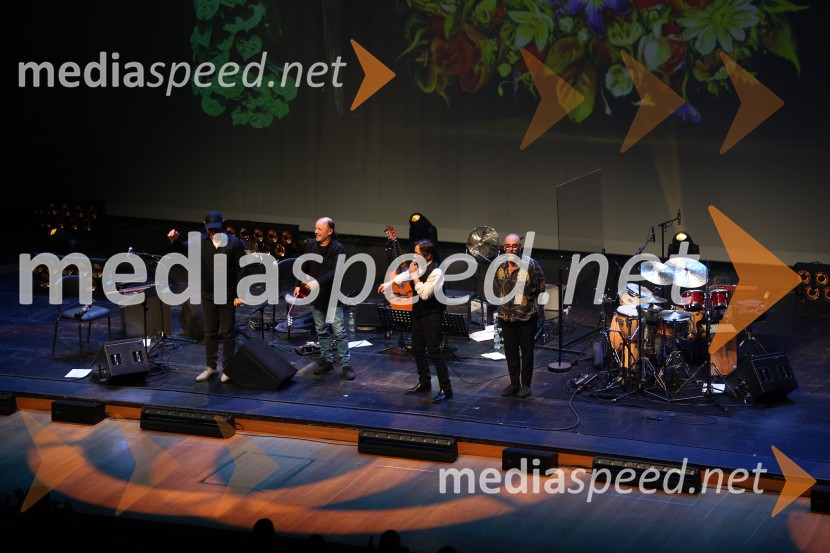 Al Di Meola, Cankarjev dom