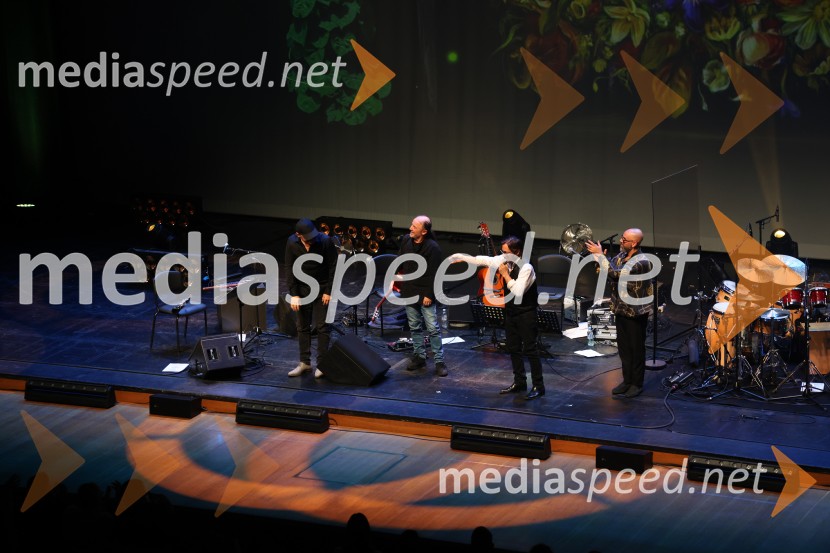 Al Di Meola, Cankarjev dom