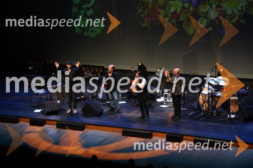 Al Di Meola, Cankarjev dom