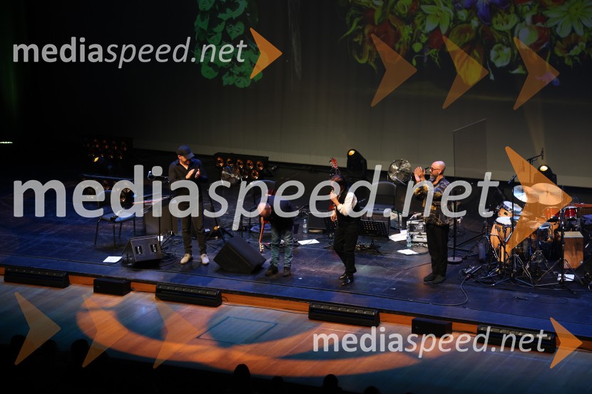 Al Di Meola, Cankarjev dom