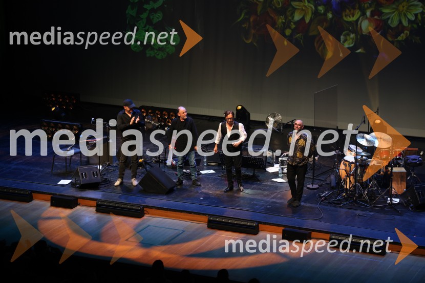 Al Di Meola, Cankarjev dom