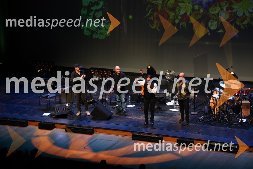 Al Di Meola, Cankarjev dom