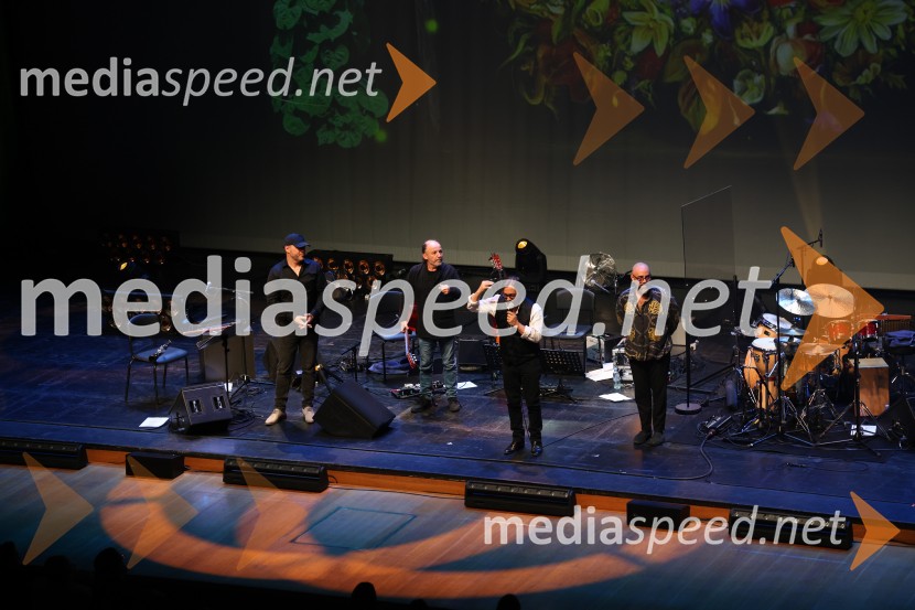 Al Di Meola, Cankarjev dom