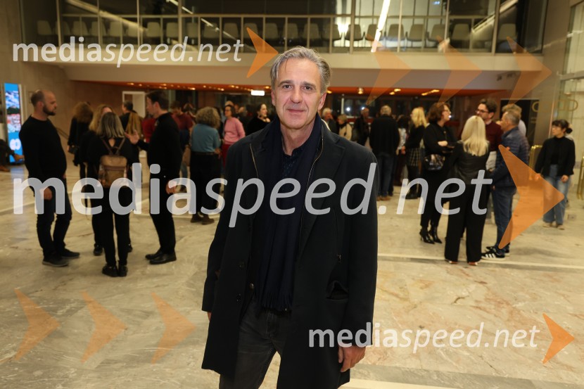 Al Di Meola, Cankarjev dom