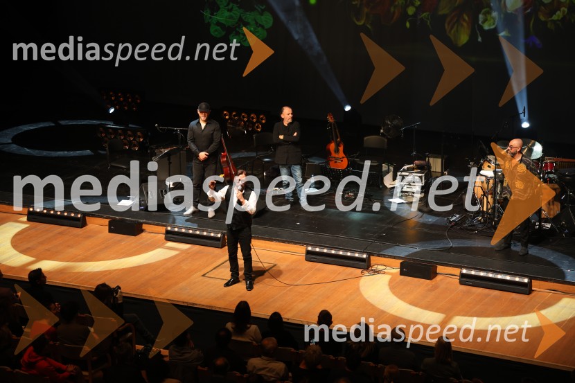 Al Di Meola, Cankarjev dom