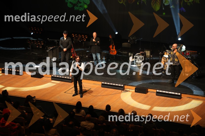 Al Di Meola, Cankarjev dom