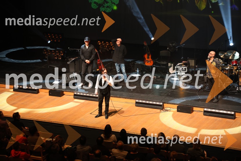 Al Di Meola, Cankarjev dom