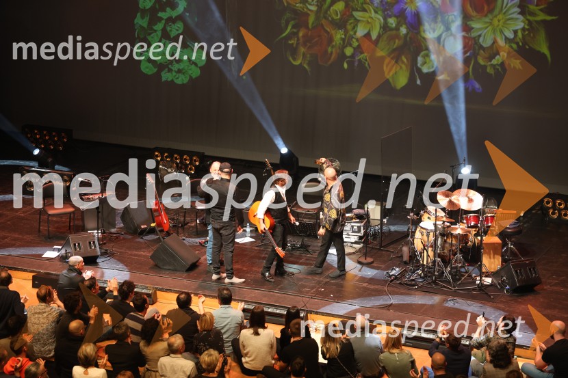 Al Di Meola, Cankarjev dom