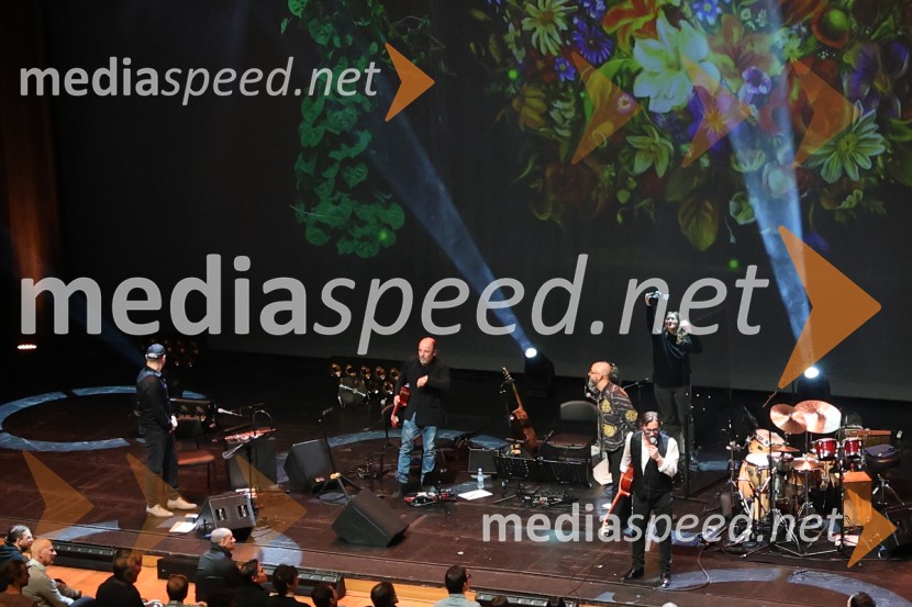 Al Di Meola, Cankarjev dom