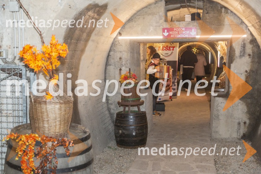 Vinska pot v rovih pod starim Kranjem 2025, petek