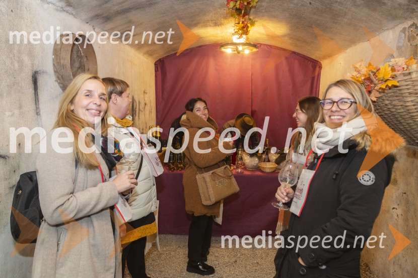 Vinska pot v rovih pod starim Kranjem 2025, petek