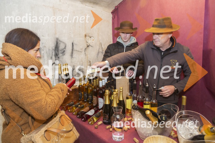 Vinska pot v rovih pod starim Kranjem 2025, petek