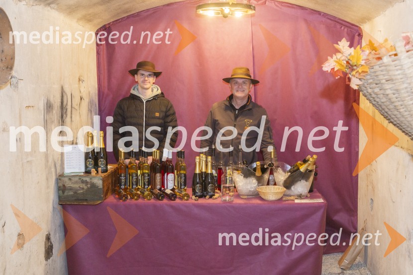 Vinska pot v rovih pod starim Kranjem 2025, petek