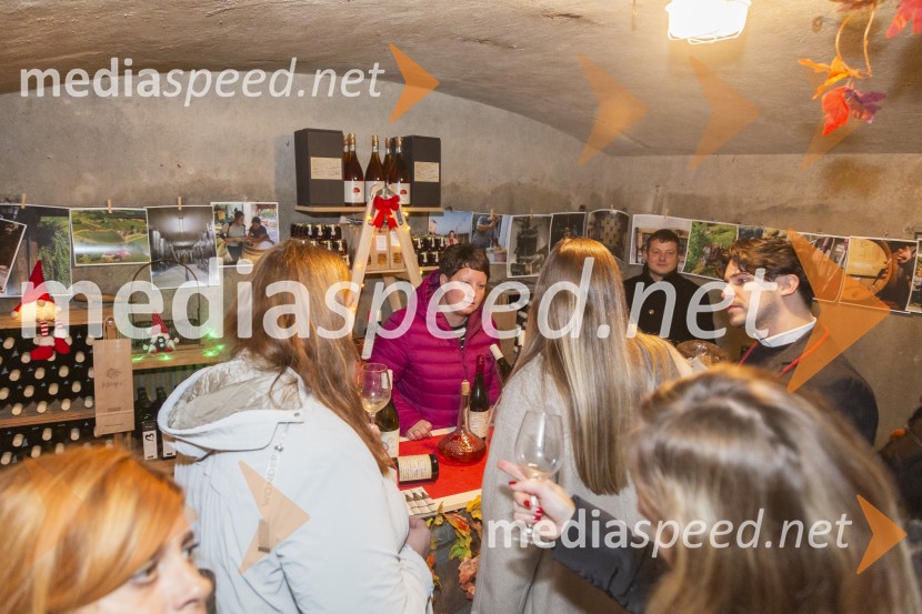 Vinska pot v rovih pod starim Kranjem 2025, petek