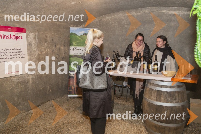 Vinska pot v rovih pod starim Kranjem 2025, petek