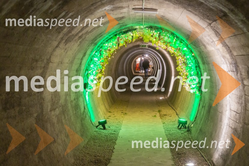 Vinska pot v rovih pod starim Kranjem 2025, petek