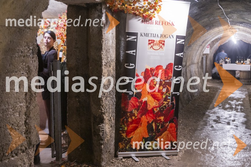 Vinska pot v rovih pod starim Kranjem 2025, petek