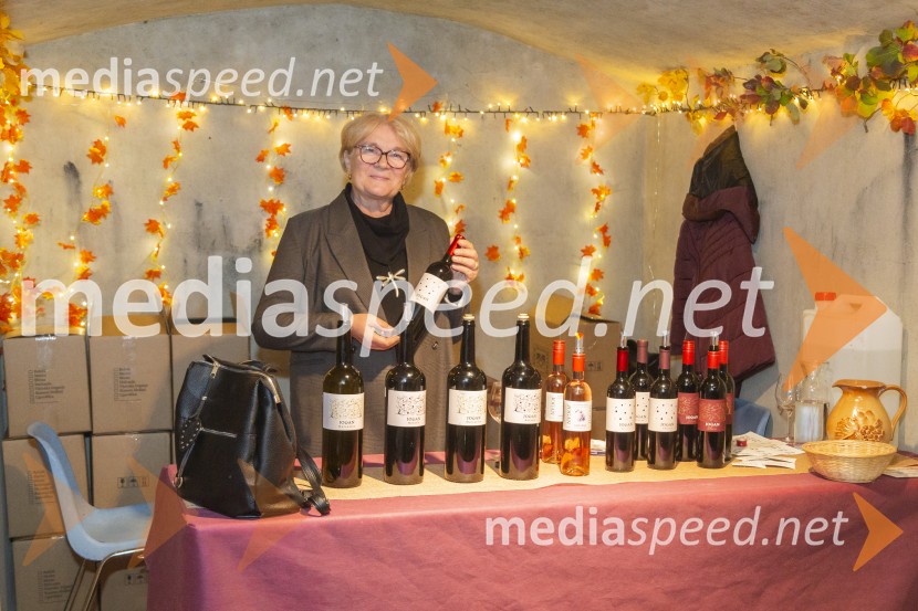 Vinska pot v rovih pod starim Kranjem 2025, petek