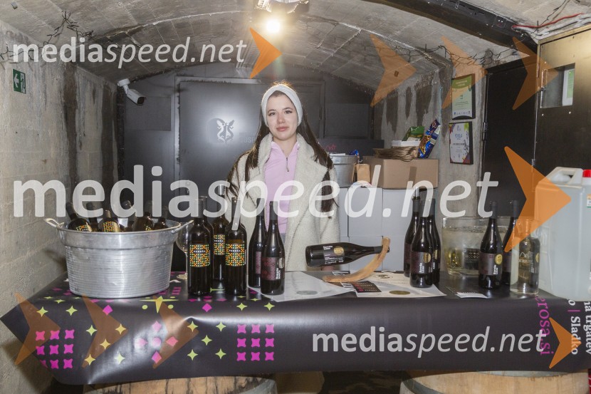 Vinska pot v rovih pod starim Kranjem 2025, petek