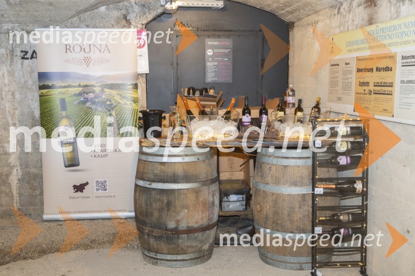 Vinska pot v rovih pod starim Kranjem 2025, petek