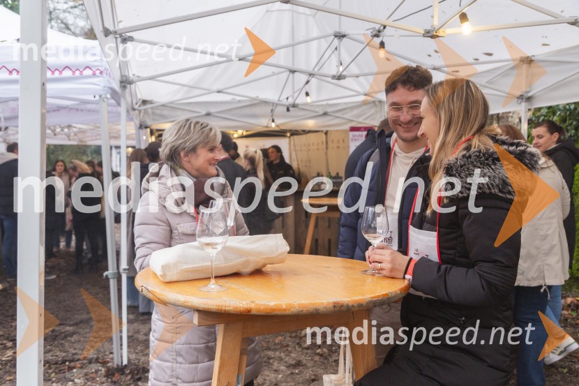 Vinska pot v rovih pod starim Kranjem 2025, petek