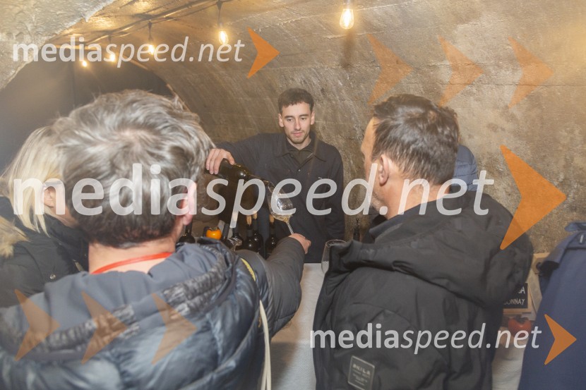 Vinska pot v rovih pod starim Kranjem 2025, petek