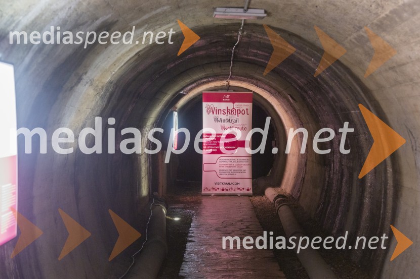 Vinska pot v rovih pod starim Kranjem 2025, petek