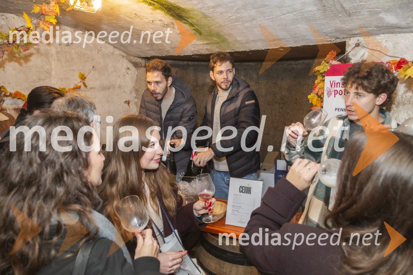 Vinska pot v rovih pod starim Kranjem 2025, petek