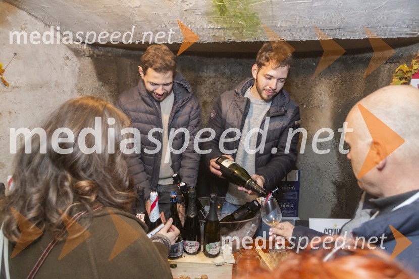 Vinska pot v rovih pod starim Kranjem 2025, petek