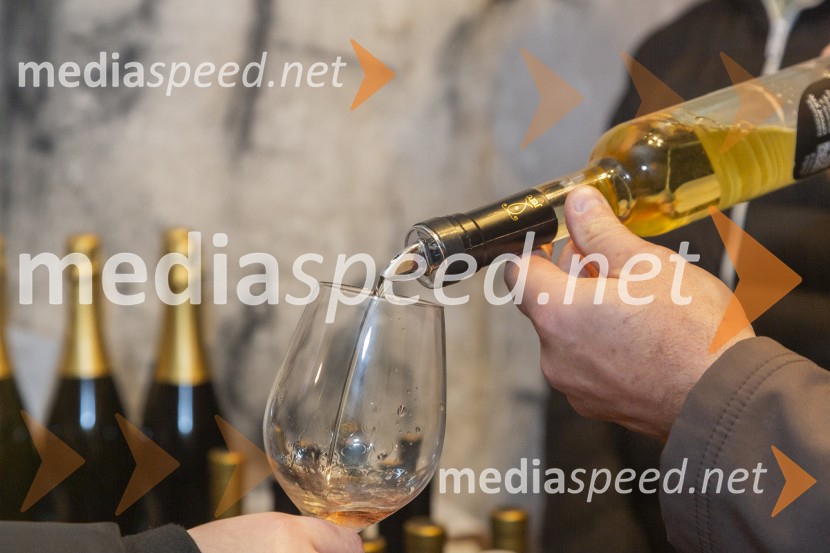 Vinska pot v rovih pod starim Kranjem 2025, petek