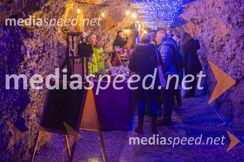 Vinska pot v rovih pod starim Kranjem 2025, petek