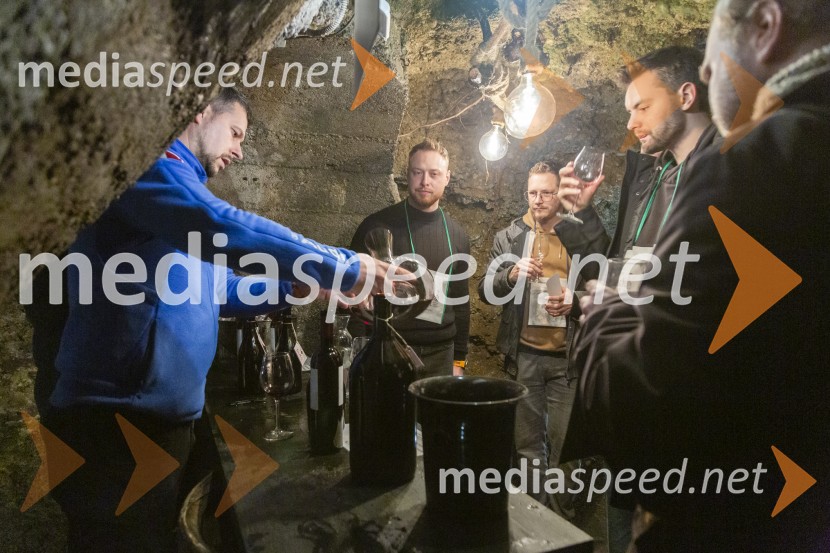 Vinska pot v rovih pod starim Kranjem 2025, petek