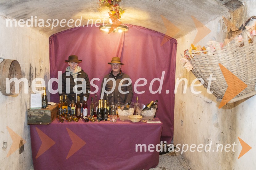 Vinska pot v rovih pod starim Kranjem 2025, petek