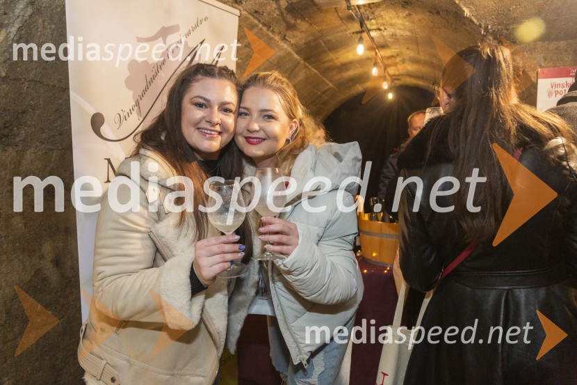 Vinska pot v rovih pod starim Kranjem 2025, petek