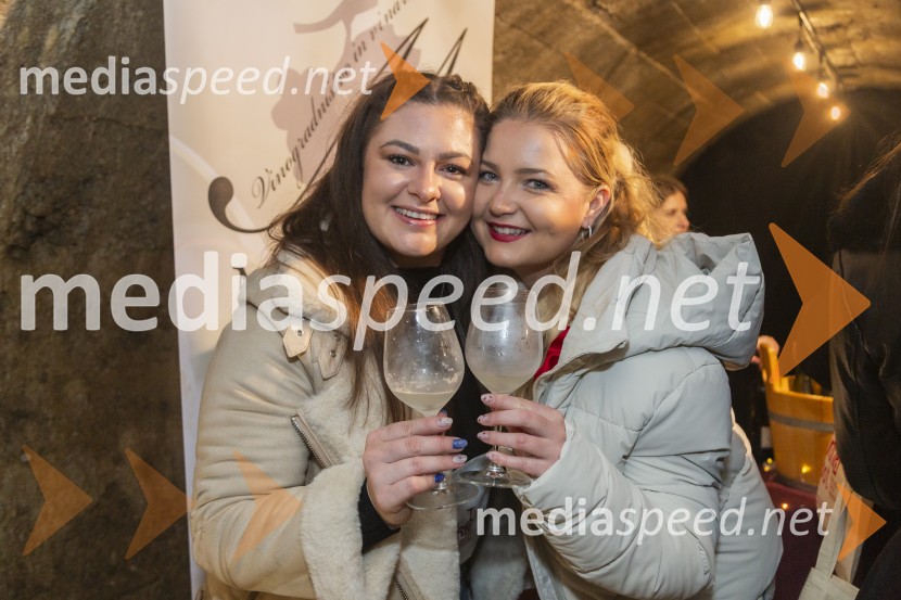 Vinska pot v rovih pod starim Kranjem 2025, petek