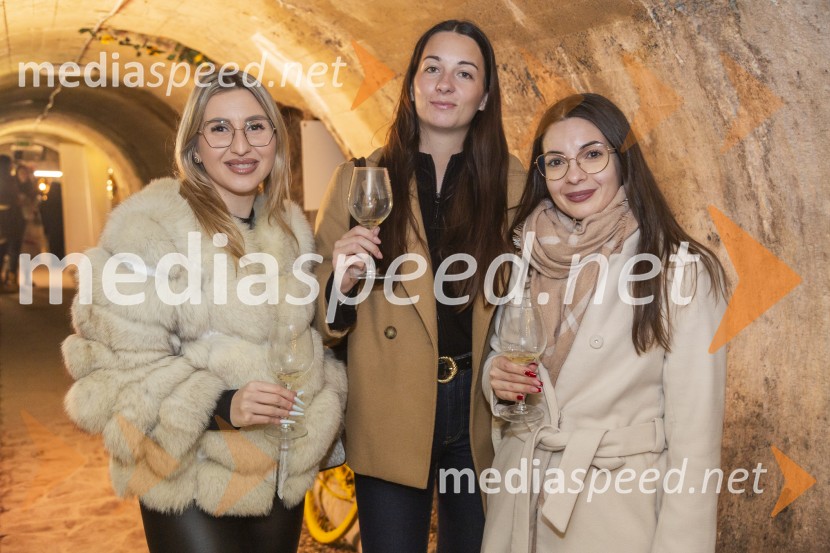 Vinska pot v rovih pod starim Kranjem 2025, petek