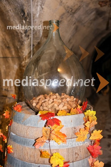 Vinska pot v rovih pod starim Kranjem 2025, sobota