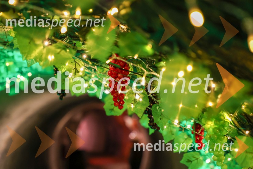 Vinska pot v rovih pod starim Kranjem 2025, sobota