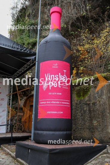 Vinska pot v rovih pod starim Kranjem 2025, sobota