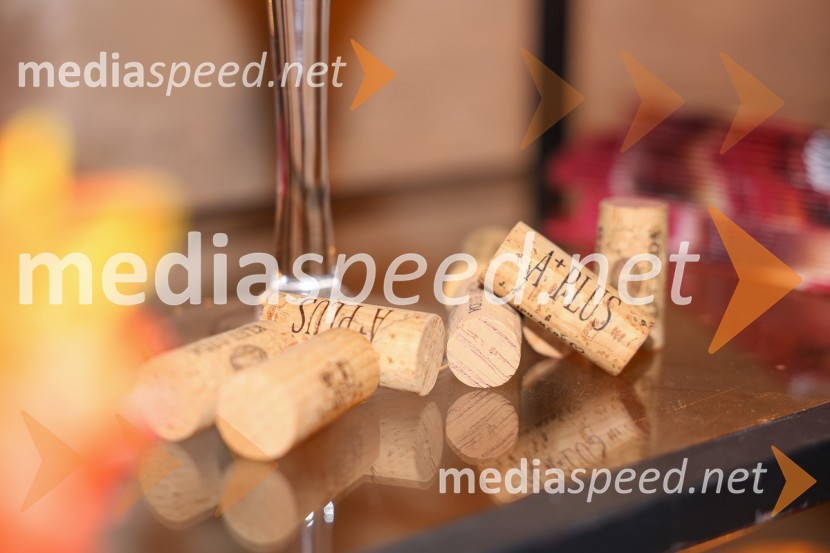 Vinska pot v rovih pod starim Kranjem 2025, sobota