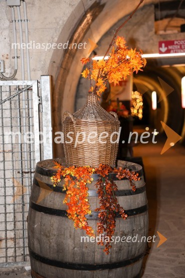 Vinska pot v rovih pod starim Kranjem 2025, sobota